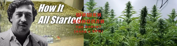 стафф Абаза