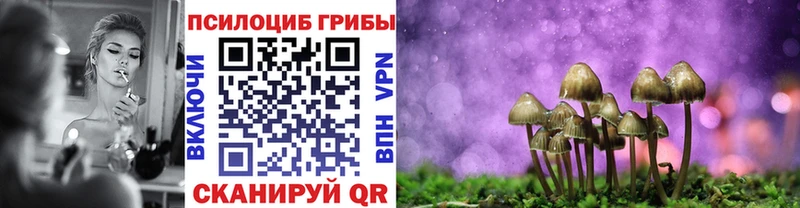 Псилоцибиновые грибы Magic Shrooms  Холмск 