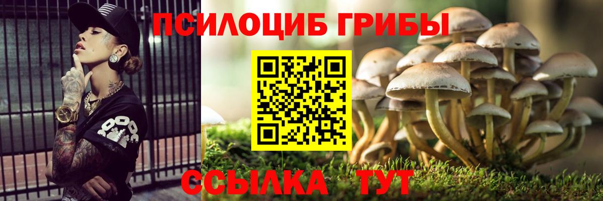 Псилоцибиновые грибы ЛСД  Псилоцибиновые грибы GOLDEN TEACHER  Вход с VPN  Холмск 
